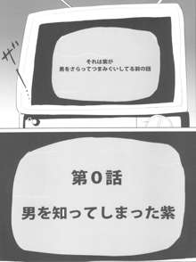 ゆかりんは痴女? それとも･･･?, 日本語