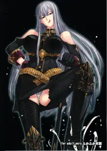 Valkyria no Tokkun, 中文