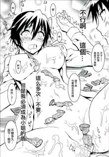 Nisenisekoi 4, 中文