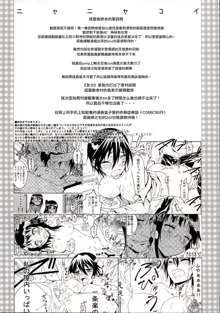 Nisenisekoi 4, 中文