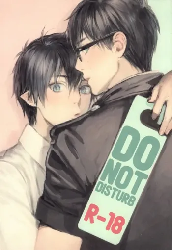 DO NOT DISTURB, 日本語