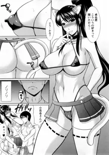 乳これくしょん, 日本語