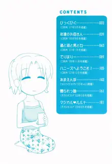 デキちゃったらどうしよ, 日本語