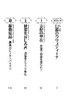 白銀のお嬢様と支配の聖衣, 日本語