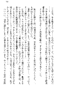 白銀のお嬢様と支配の聖衣, 日本語