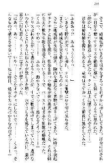 白銀のお嬢様と支配の聖衣, 日本語