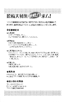 白銀のお嬢様と支配の聖衣, 日本語