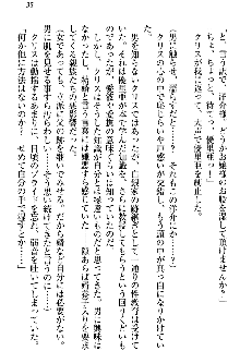 白銀のお嬢様と支配の聖衣, 日本語