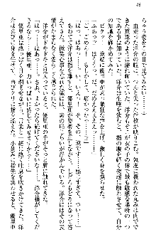 白銀のお嬢様と支配の聖衣, 日本語