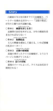 白銀のお嬢様と支配の聖衣, 日本語