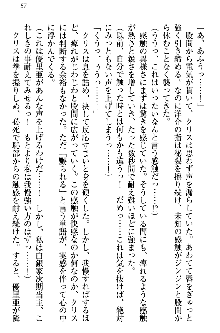 白銀のお嬢様と支配の聖衣, 日本語