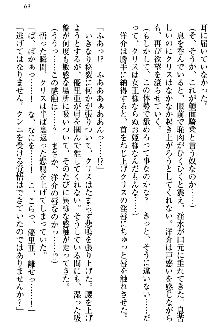 白銀のお嬢様と支配の聖衣, 日本語