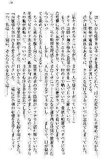 白銀のお嬢様と支配の聖衣, 日本語