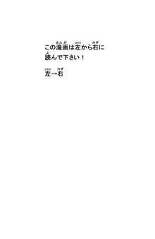 子供同士がセックスするまんが, 日本語