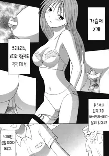 IchigoIchie 2, 한국어