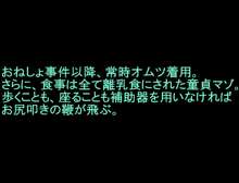 30歳童貞、サキュバスを召喚したら赤ちゃんプレイを強要された, 日本語