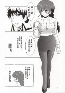 Mahouka Koukou no Retsujou Sensei, 中文