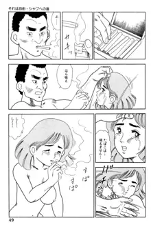 いきなりバカ, 日本語