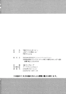 銀砂子のぴんぼーる!, 日本語