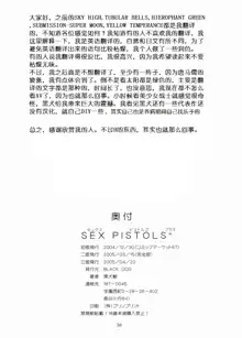 Sex Pistols+, 中文