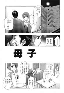 乙女の秘密, 日本語