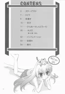 MOUSOU みにしあたー 25, 日本語