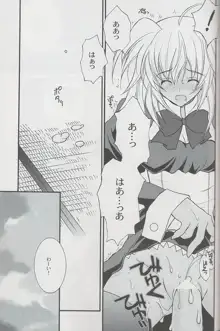 クレイジーパラダイスへようこそ!, 日本語