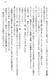 お嬢様を選びなさい! 金髪ワガママ? それとも腹黒ナデシコ?, 日本語