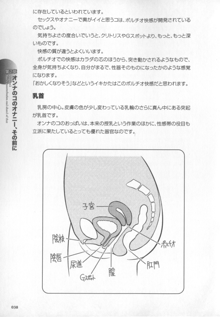 もっと知りたい!オンナのコのひとりえっち, 日本語