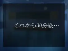 転落性活～頼まれると断り切れない優等生 菜月～, 日本語