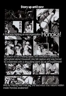 Hadakahime Honoka 2 Misemono Tanetsuke Saru Koubi | Naked Princess Honoka 2 - Mating Exhibition: Monkey Coitus, English