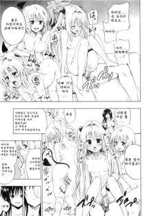 Chou LOVE-Ru Black, 한국어