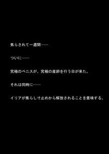 女捜査官イリアとリアラ 封印された絶頂!, 日本語