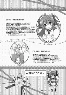 メイドさんMariage 2, 日本語