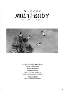 MULTI-BODY, 中文