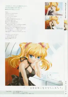 Kimi Ga Nozomu Eien - Memorial Artbook, 日本語