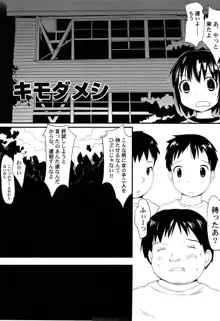 ゆめまくら, 日本語