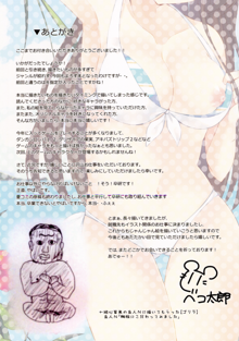 VariouSketch 2, 日本語