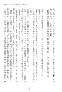 「勘違いしないでよね!アンタの事なんか大好きなんだから!」呪いで本音しか言えなくなったツンデレお嬢様, 日本語