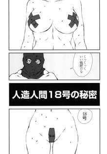 18+ 2, 日本語