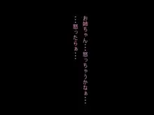 おち○ちんのつかいかた, 日本語