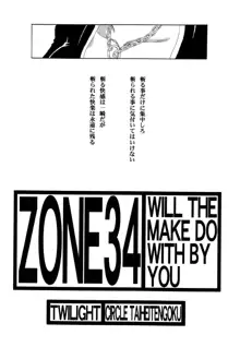 ZONE 34 WILL THE MAKE DO WITH BY YOU, 日本語