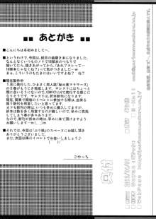 はみがきタイム 完全版 1&2, 日本語