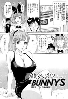 生ハメBunnys, 日本語