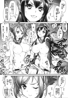 KanColle -SEX FLEET COLLECTION- Kan-musu Catalog, 中文