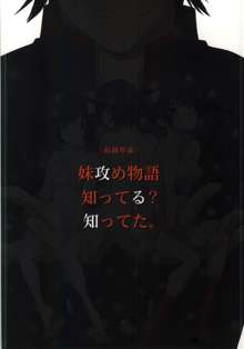 まとめた物語・壱, 日本語