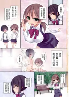 Futananajimi to Renshuu Ecchi, 中文