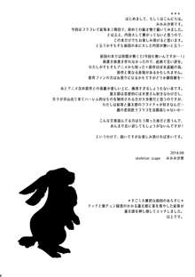 little rabbit 2, 中文