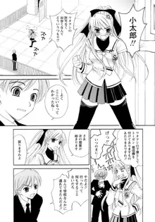 お嬢様とボク, 日本語