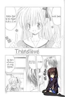 Translove, 한국어